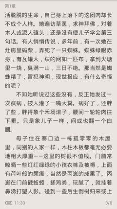 黑名单可以去菲律宾工作吗，会被拒签吗_菲律宾签证网